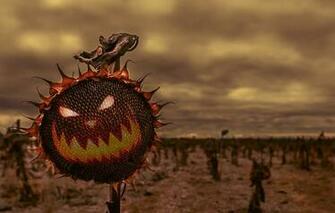 Wallpaper Field Nature Color Sunflower Halloween
