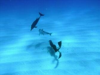 Best Scuba Pro Wallpaper Mac