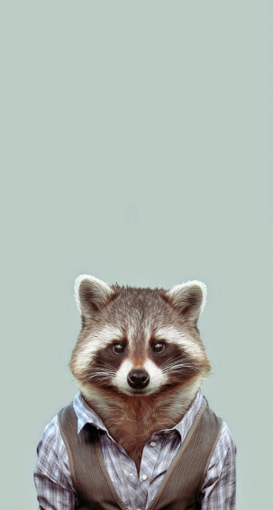 Cute Animals iPhone Wallpaper You Would Love To