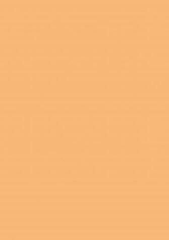 Mellow Apricot Solid Color Background