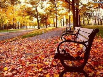 Cool HD Nature Desktop Wallpaper Beautiful