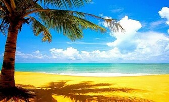 Summer Beach Photo Nature Desktop Wallpaper