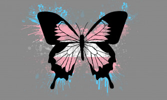 Trans Flag Wallpaper