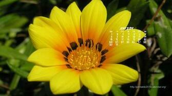 Desktop Wallpaper Calendar HD And Pictures