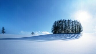 Winter Desktop Pc And Mac Wallpaper