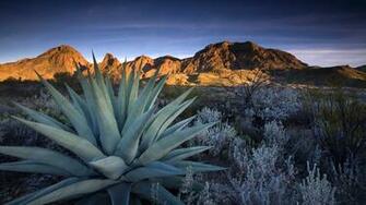 Big Bend National Park Texas HD Wallpaper