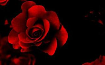 Love Wallpaper Desktop HD Walldiskpaper