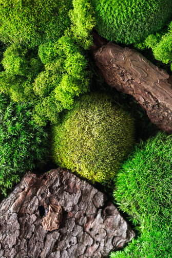 Full Screen HD Wallpaper