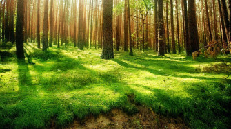 File Nature Jpg