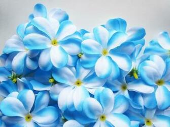 Blue Flowers Wallpaper