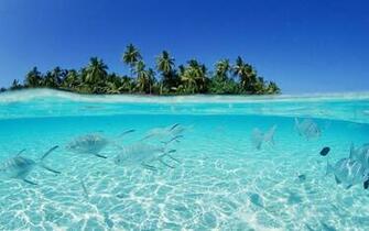 Maldives Widescreen Wallpaper Travel Tourism