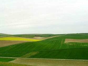 Fields In Spring Desktop Pc And Mac Wallpaper