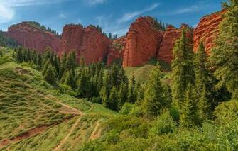 Wallpaper Trees Rocks Slope Kyrgyzstan Vladimir Ryabkov The
