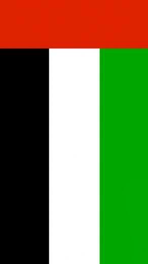 United Arab Emirates Flag iPhone Wallpaper HD