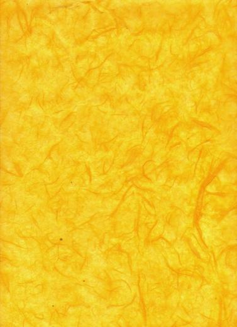 The Yellow Because Julia Watson Carolyn Pickles Toc Modeng Public