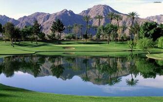 Golf Background Net