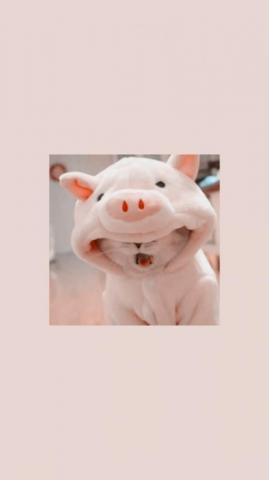 Cute Cat Wallpaper HD Cats Aesthetic