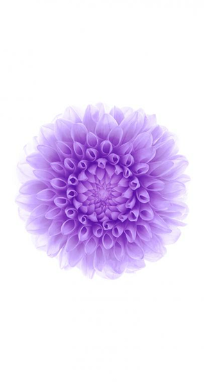 Ios Wallpaper HD Icon