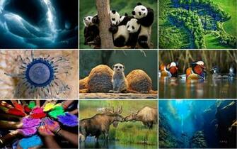 Bing Wallpaper Pack At Of Cost
