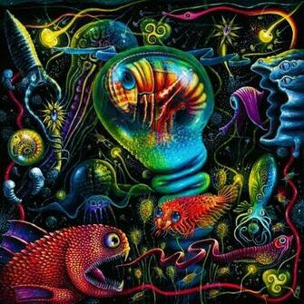 Connett Wallpaper Fish Desktop