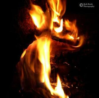 Fire Wolf Pictures