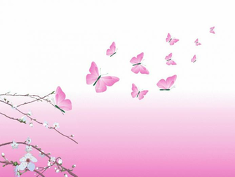 Yorkshire Image Pink Butterflies HD Wallpaper And Background