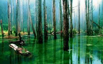 Widescreen Wallpaper Part HD