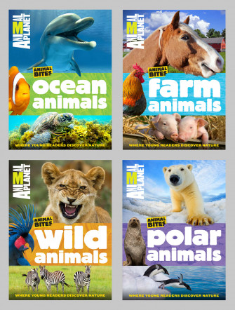 Animal Planet Picture Wallpaper