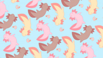 Cute Aesthetic Pc Wallpaper