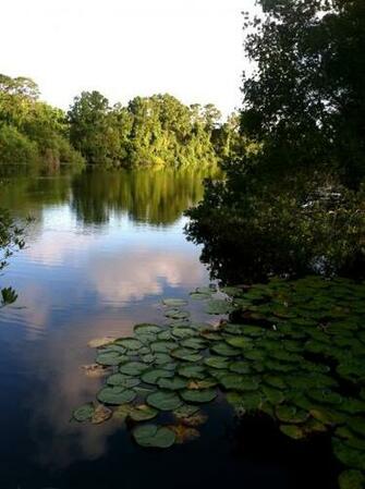 Bird Lovers Florida Scenery Pictures