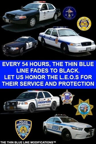 Pin Thin Blue Line Skull
