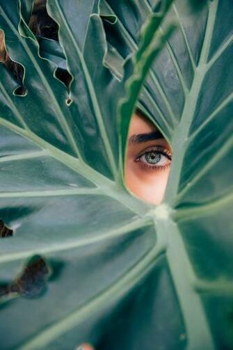 Eye Pictures HD Image