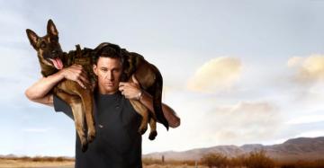 Dog Official Website February