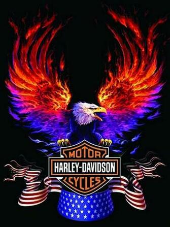 Harley Davidson Logo Wallpaper HD In Logos Imageci