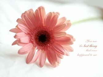 Love Quote Desktop Wallpaper High Definition