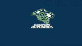 Chesapeake Bayhawks Linkedin