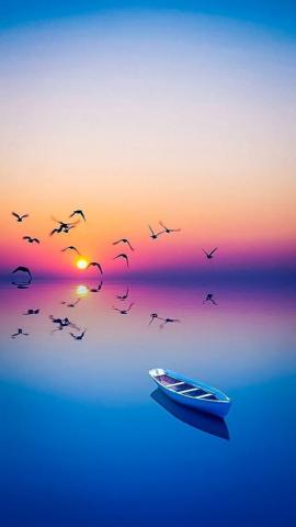 Honor Lite Wallpaper