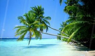 Wallpaper Stores Desktop Top Pictures