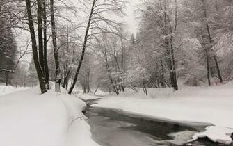 Winter Wallpaper