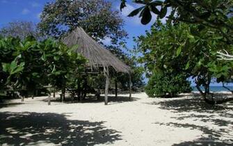 Pixel Widescreen Wallpaper Of A Jamaican Beach Hut