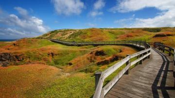 Wallpaper Nature Landscape Hills Wooden Walkway Grass