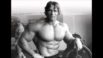 Arnold Schwarzenegger Bodybuilding Wallpaper Posters And Picture HD