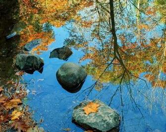 River Rock Background Papel De Parede