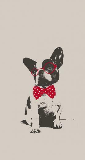 Boston Terrier Fabric Wallpaper Gift Wrap Spoonflower