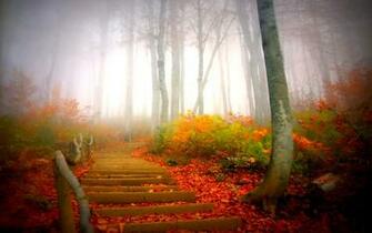 The Post Fog Wallpaper HD Appeared First On Shoot All