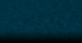 Frequently Asked Questions Blue Marlin Pools