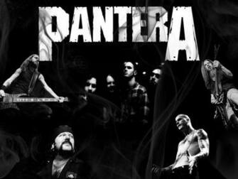 Pantera Discograf A Mp3 Folders Tracks Gb