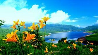 Nature Wallpaper Best HD