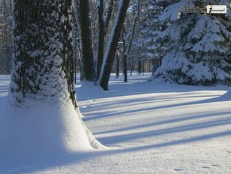 Snowy Winter Scenes Wallpaper HD Snow Scene