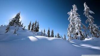 Beautiful Winter Scenery Wallpaper